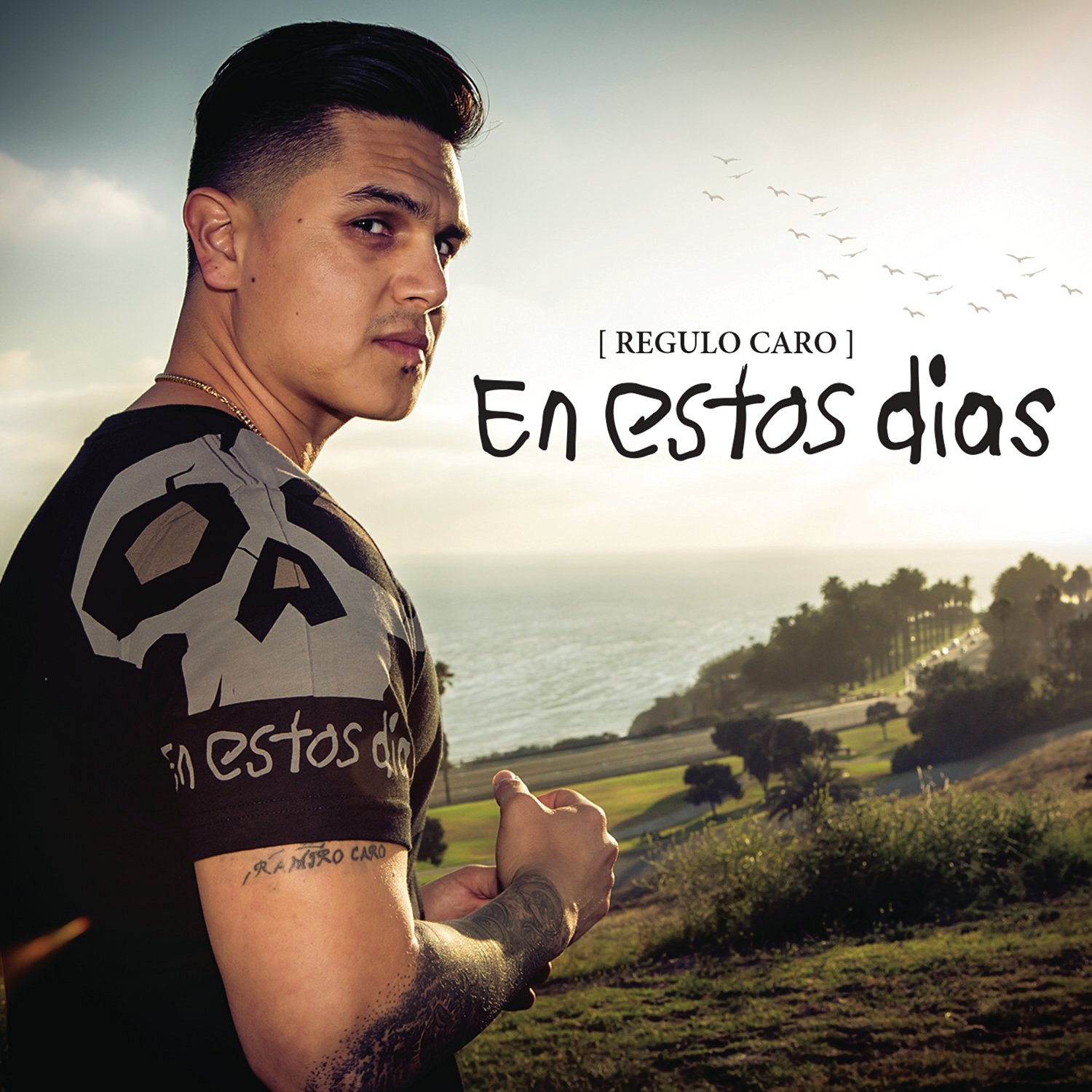 Descargar Regulo Caro – En Estos Días (Álbum 2016) -GuasaveMp3