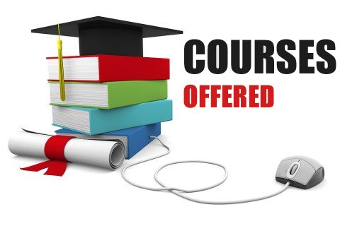 Paynoc Online Academy