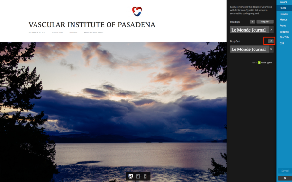 Customize Radcliffe WordPress