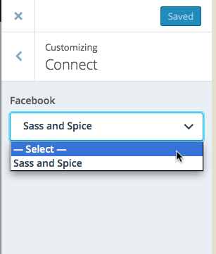 Customize Sass Spice