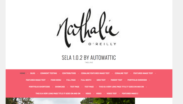 Sela 1 0 2 by Automattic tagline