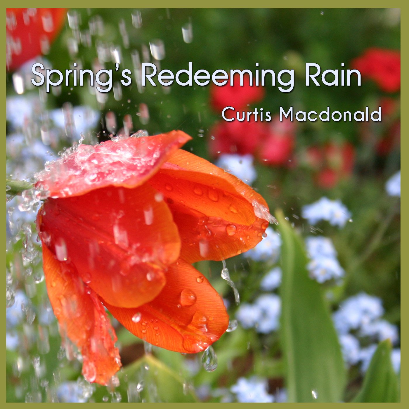 CurtisMacdonald - Spring's Redeeming Rain -
                      CDCover