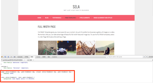 Full Width Page Sela