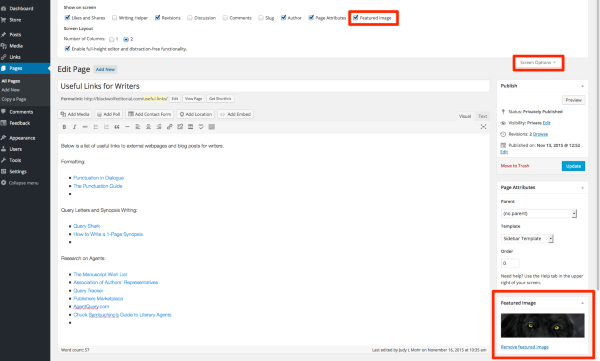 Edit Page Black Wolf Editorial Services WordPress 1