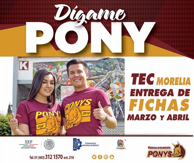 Pony grande