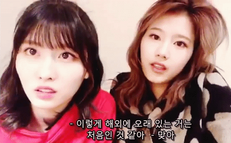 한국인 다 된 여자아이돌들.jpgif | 인스티즈