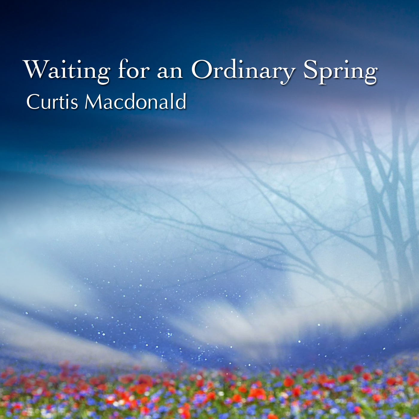Curtis
                      Macdonald - Waiting for an Ordinary Spring - CD
                      Cover