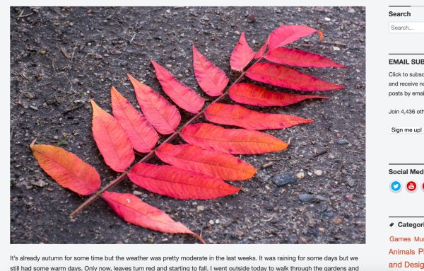 Autumn Colors Diary of Dennis