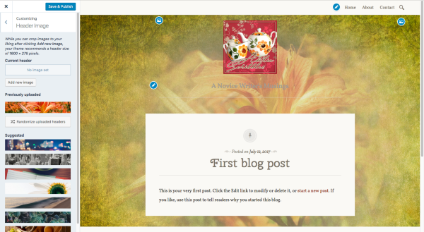 Customize A Novice Writer s Musings