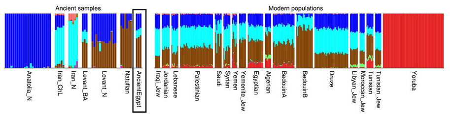 Fwbh4jg7iC-3000x3000.png
