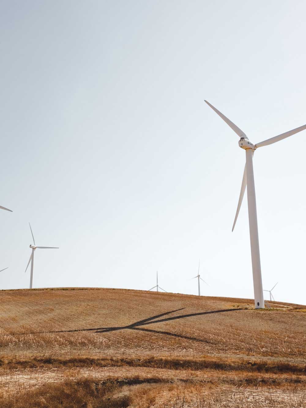 ' . __( 'Wind turbines standing on a grassy plain, against a blue sky.' ) . '