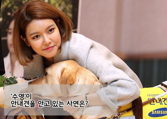 [PIC][14-10-2015]SooYoung sẽ tham gia vào Drama đặc biệt của kếnh KBS - 'Perfect Sense'  JdGwNipu-i-3000x3000