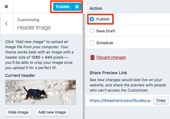 Customize The Adventures of Buddy From San Antonio Texas to Pittsburgh Pennsylvania