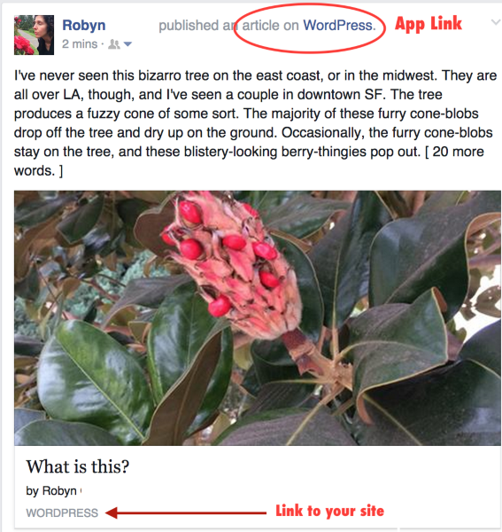 Screen Shot 2014 11 05 at 11 27 14 AM