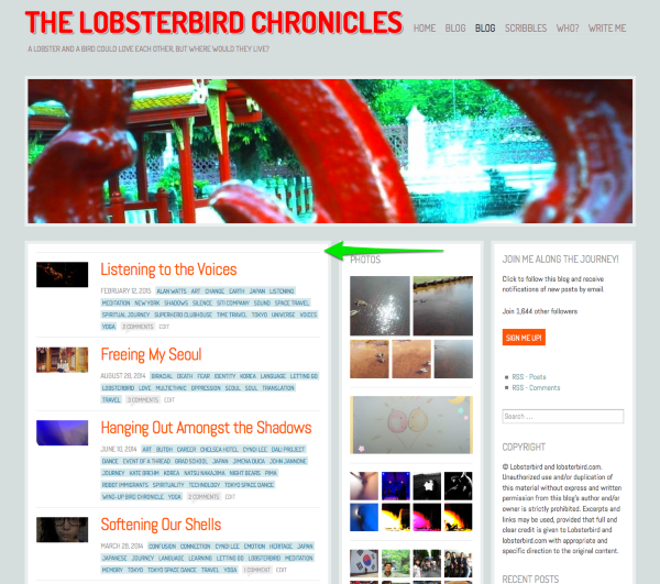 Blog The Lobsterbird Chronicles