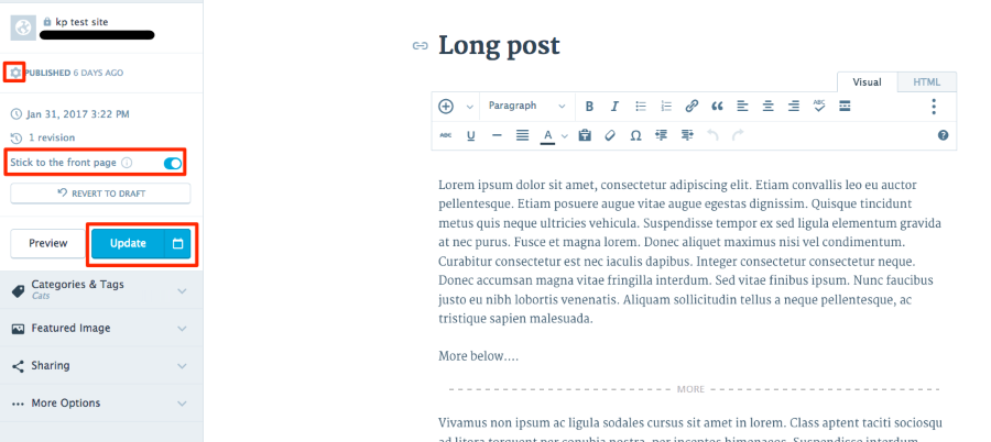 Edit Post kp test site WordPress com 1
