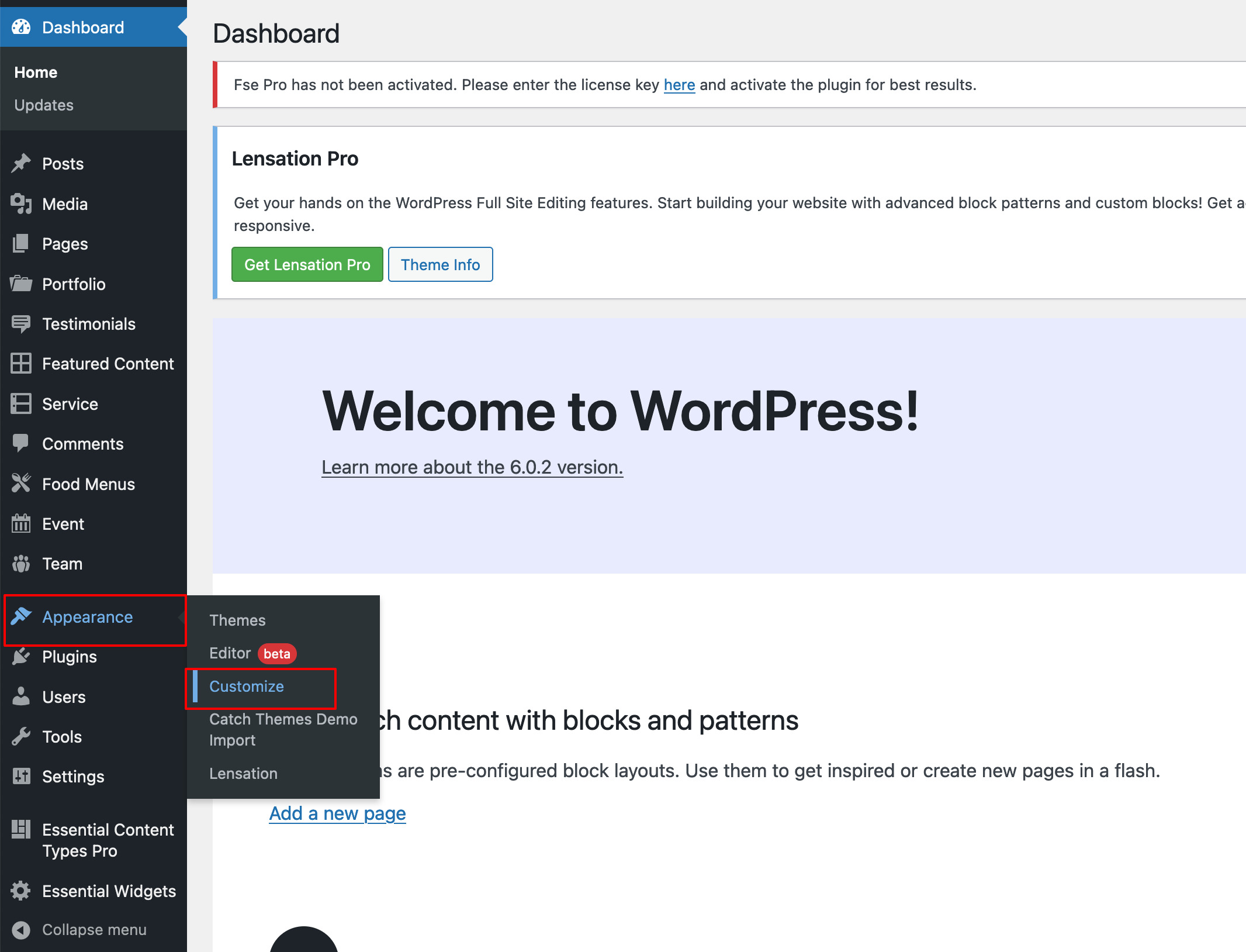 WordPress Appearance - Customize
