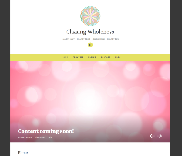 Chasing Wholeness Healthy Body Healthy Mind Healthy Soul Healthy Life