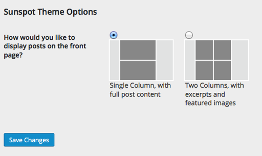 Theme Options Navigating Complexity net WordPress
