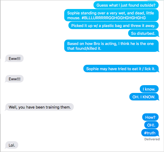 screenshot of conversation re: dogs standing over a wed, dead mouse.