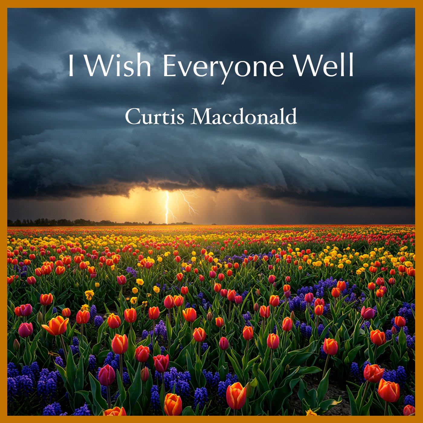 CurtisMacdonald - I Wish Everyone Well
                      -CDCover