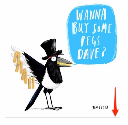 Magpie That illustrated books picture books graphic novels