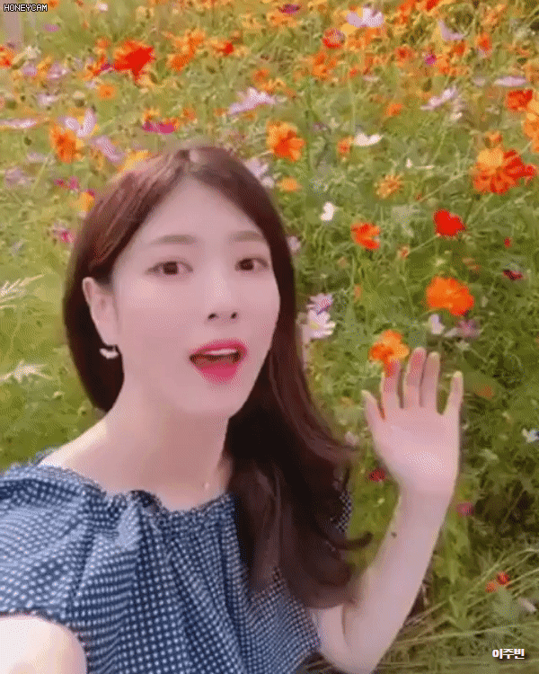 오랜만에 올라온 오늘자 이해인 인스타그램.jpgif | 인스티즈
