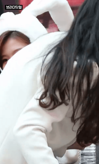 그냥 쳐다보는 사나.gif | 인스티즈