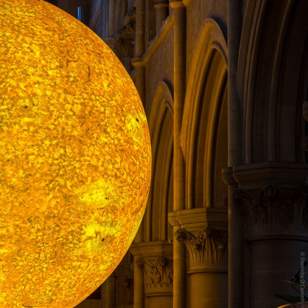 Donncha 506717032 10162414008566348 3262451888210134647 n