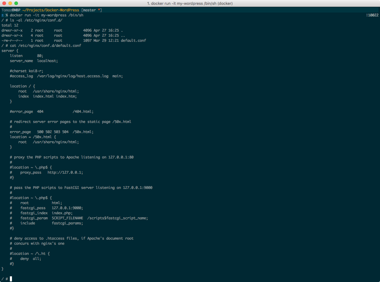 output of 'cat' command screenshot