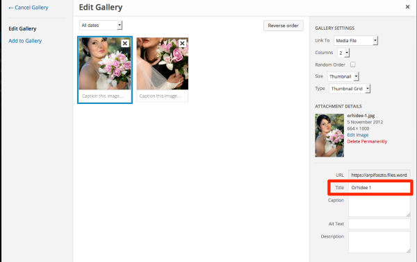Edit Post Articole 2012 Agentia de nunti Daniela Foszto WordPress