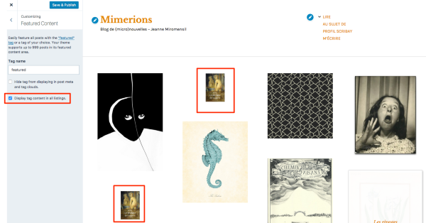 Customize Mimerions Blog de micro nouvelles Jeanne Miromensil