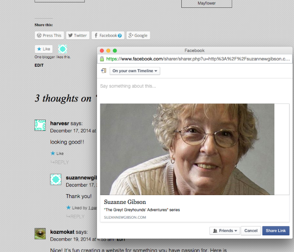 Screen Shot 2014 12 19 at 10 17 30 AM