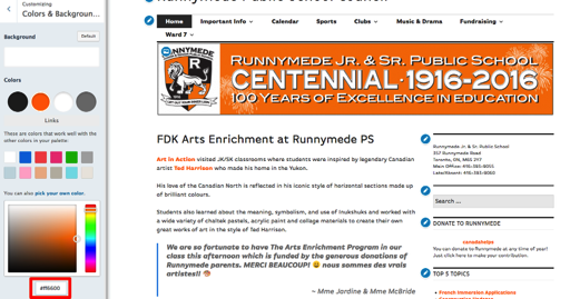 Customize Runnymede Public School Council