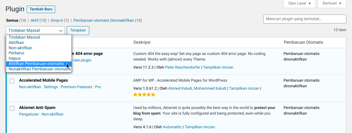 Fitur pembaruan otomatis di WordPress 5.5. WordPress 5.5 "Eckstine" Resmi Dirilis