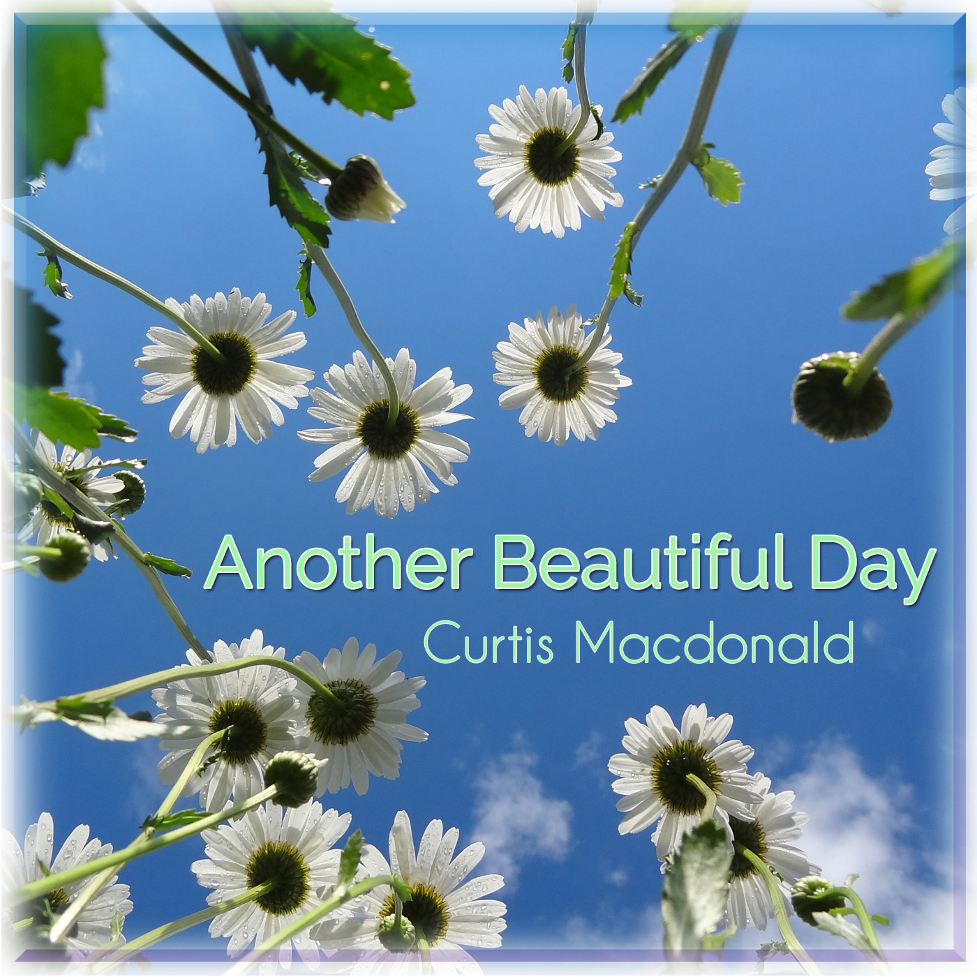 CurtisMacdonald - Another Beautiful Day -
                      CDCover