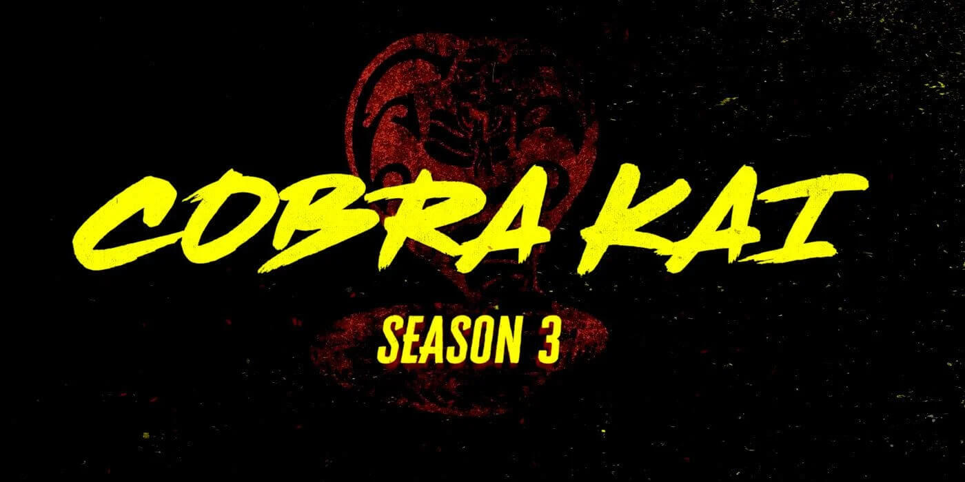 Cobra Kai Season 3