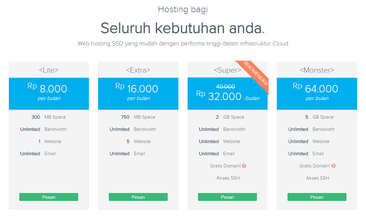 DomaiNesia Hosting Indonesia