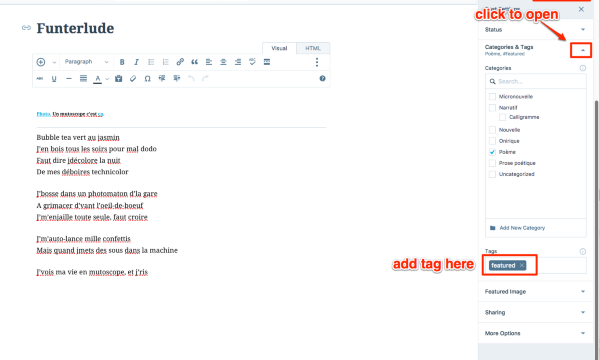 Edit Post Mimerions WordPress com 1