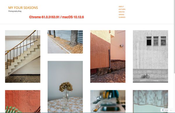 MY FOUR SEASONS Photography Blog