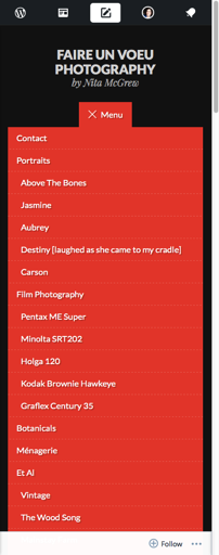 Faire Un Voeu Photography by Nita McGrew