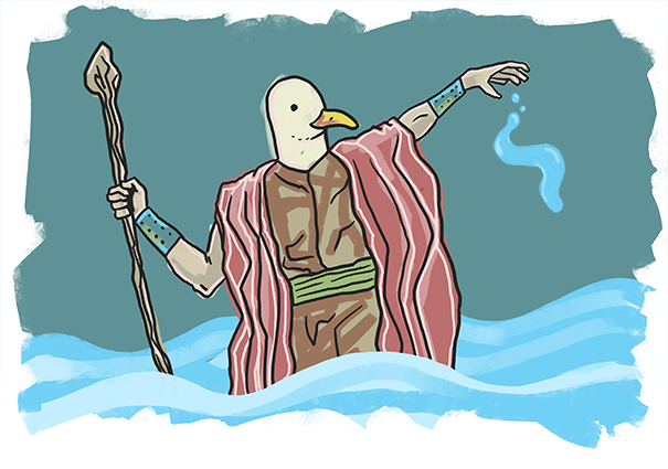 Seagull Waterbender Moses