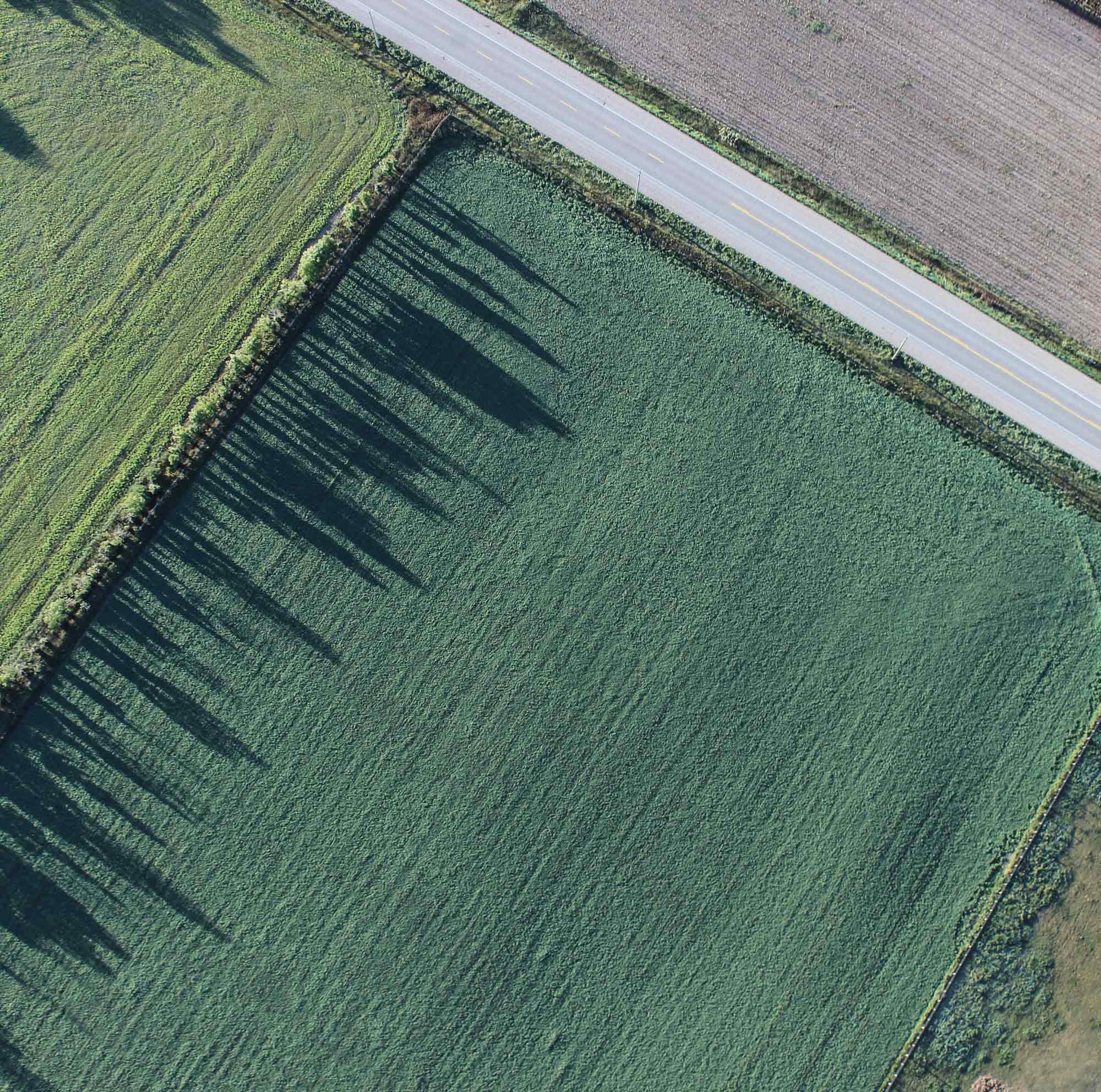 ' . __( 'An aerial view of a field. A road runs through the upper right corner.' ) . '